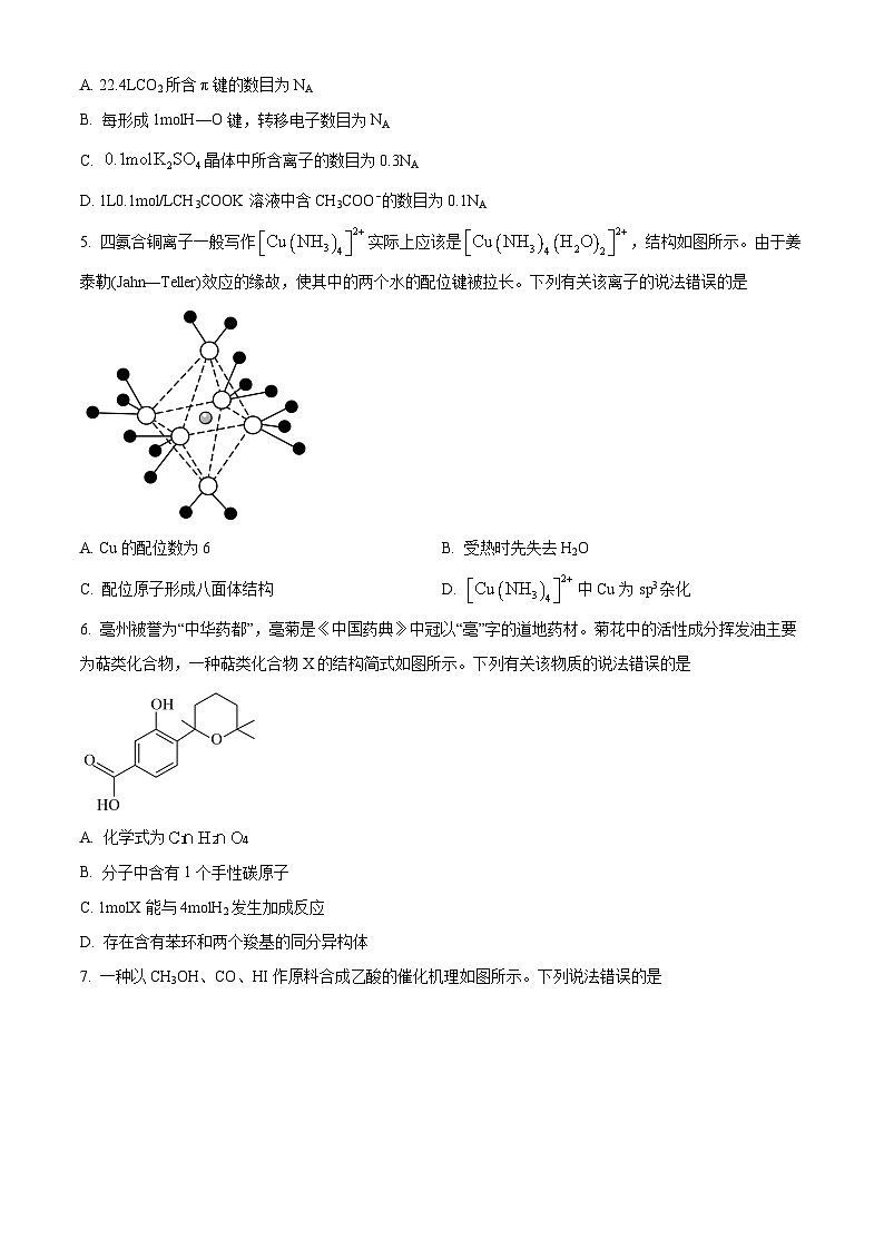安徽省2024届“耀正优+”高三上学期名校12月期末化学试题 Word版无答案第2页
