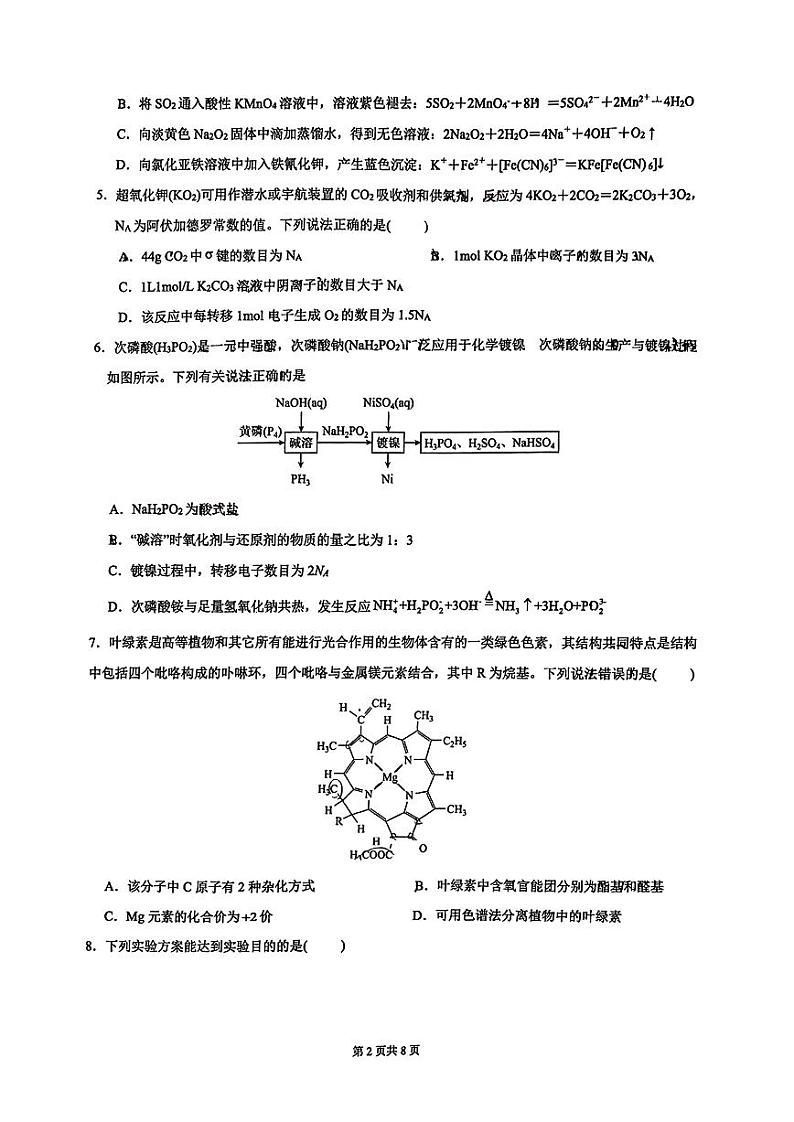 湖南省长沙市东雅中学2025届高三上学期摸底考试化学试题第2页