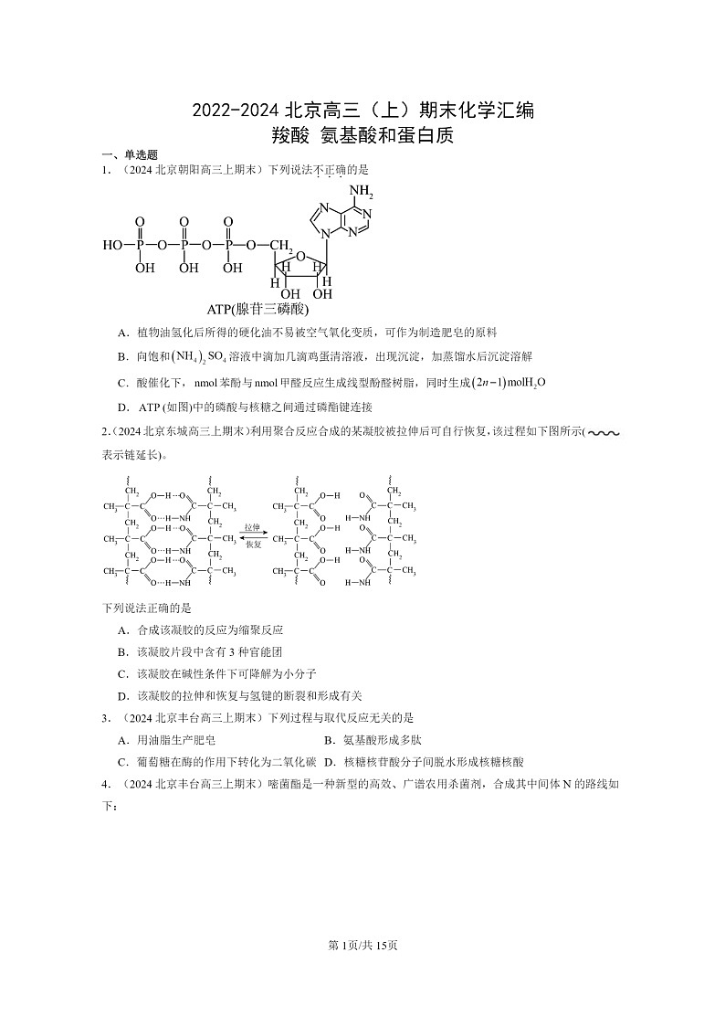 [化学]2022～2024北京高三上学期期末真题分类汇编：羧酸氨基酸和蛋白质01
