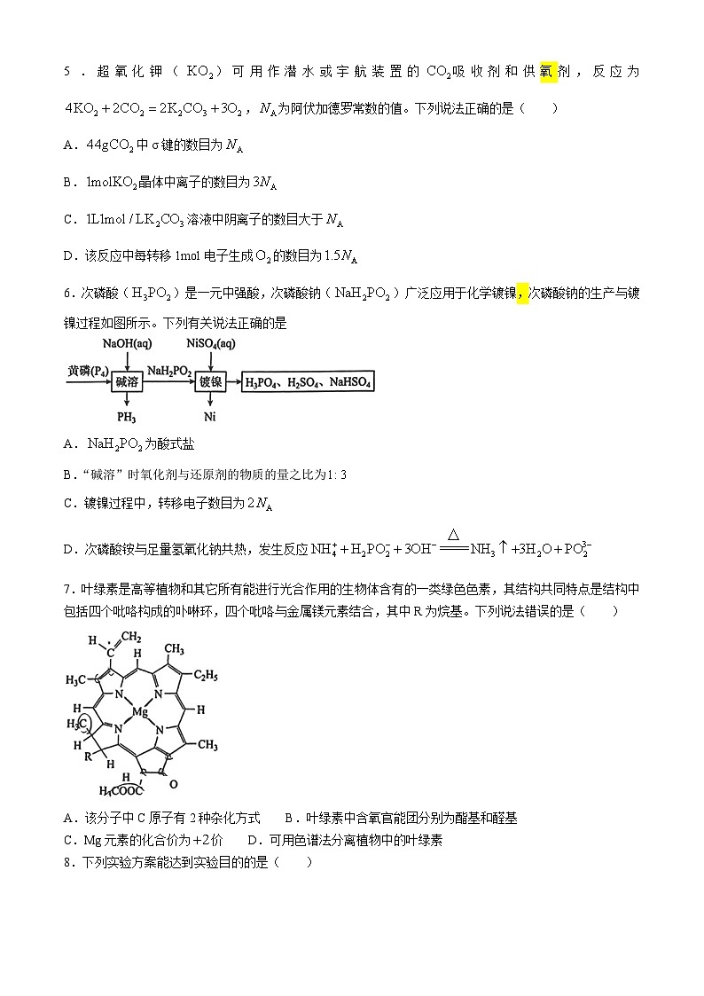 湖南省长沙市东雅中学2025届高三上学期摸底考试化学试题(无答案)第2页