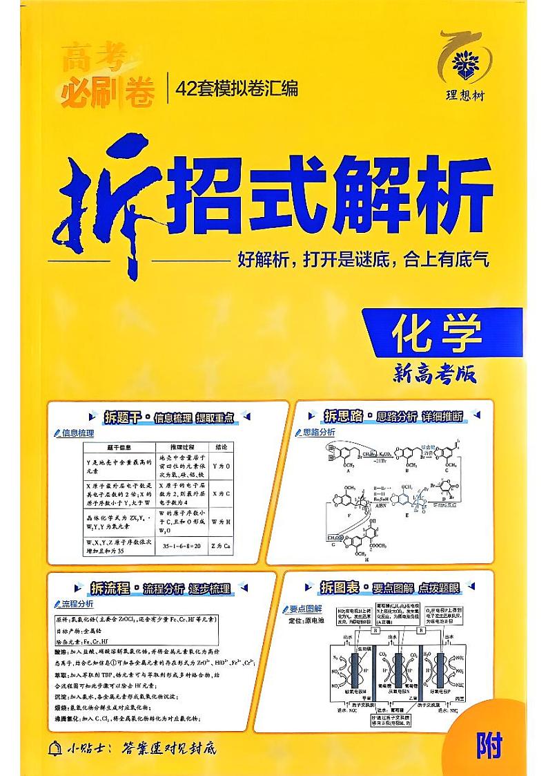 2025高考必刷卷化学新高考版答案解析册第1页
