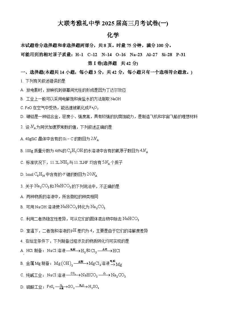 湖南省长沙市雅礼中学2025届高三上学期第一次月考化学试题（原卷版）01