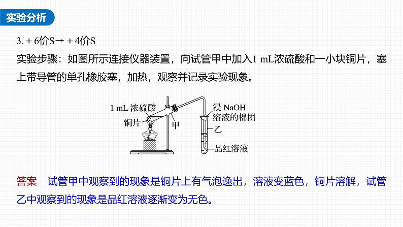 新高考化学一轮复习讲义课件第4章 第21讲　必做实验提升(四)　不同价态含硫物质的转化（含解析）第4页