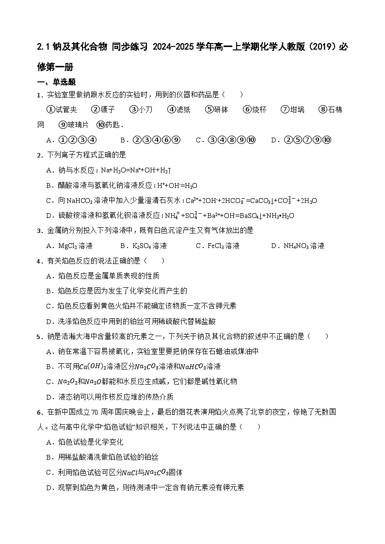 2.1钠及其化合物 同步练习 2024-2025学年高一上学期化学人教版（2019）必修第一册第1页