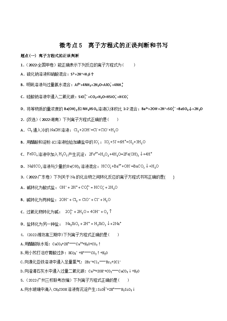 新高考化学二轮复习高频考点练习5 离子方程式的判断与书写（原卷版）第1页