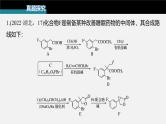 新高考化学二轮复习课件 第1部分 专题突破  大题突破4　有机综合推断