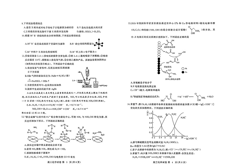 2025届湖北省黄冈市高三上学期9月调研考试一模++化学试题第2页