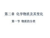 2024-2025学年人教版（2019）必修第一册1.1物质的分类 课件