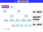 2024-2025学年人教版（2019）必修一 1.1.1 物质的分类 课件
