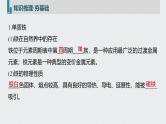 新高考化学一轮复习讲义课件 第3章 第15讲　铁及其重要化合物