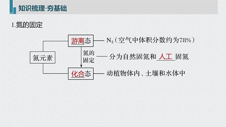 新高考化学一轮复习讲义课件 第4章 第23讲　氮及其化合物05