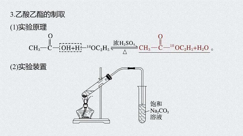 新高考化学一轮复习讲义课件 第9章 第45讲　乙醇和乙酸　基本营养物质第8页