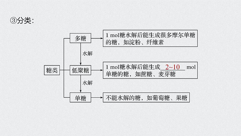 新高考化学一轮复习讲义课件 第11章 第51讲　生命中的基础有机化学物质　合成有机高分子06