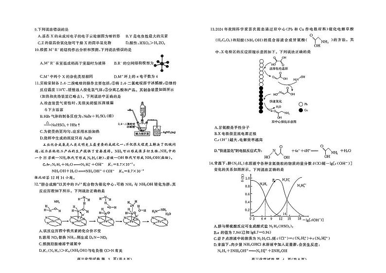 湖北省黄冈市2024年高三年级9月调研考试化学含答案第2页