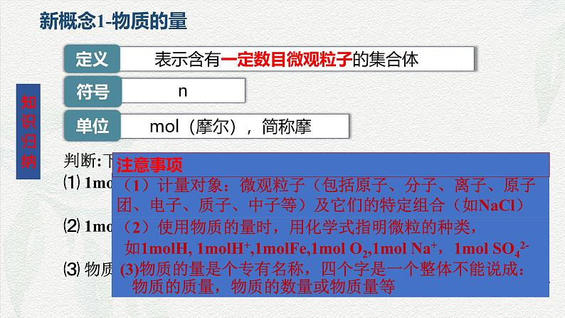 2.3物质的量-课件— 2024-2025学年高一上学期化学人教版（2019）必修第一册第7页