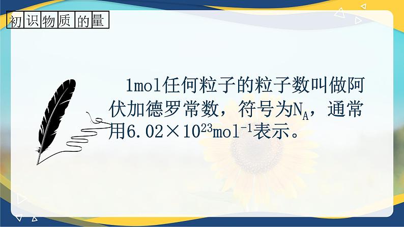 2.3物质的量的单位——摩尔--课件 2024-2025学年高一上学期化学人教版（2019）必修第一册06