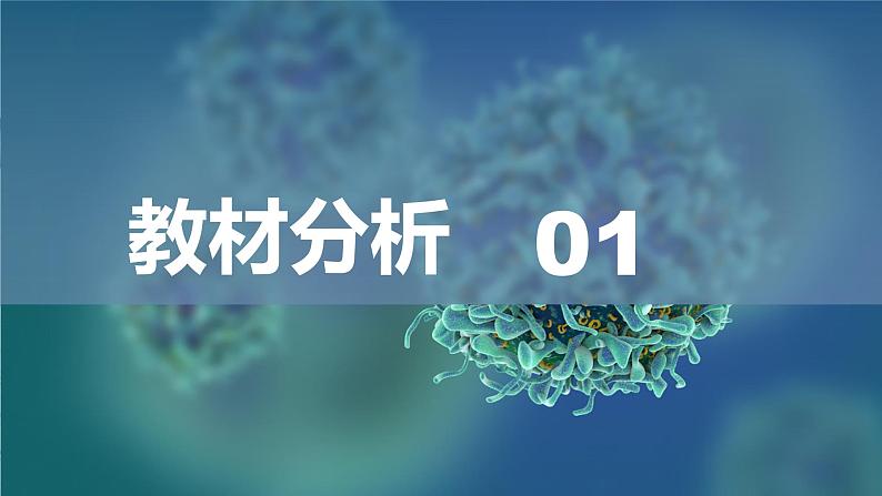 2.3物质的量说课课件 2024-2025学年高一上学期化学人教版（2019）必修第一册第3页