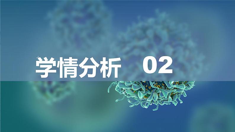 2.3物质的量说课课件 2024-2025学年高一上学期化学人教版（2019）必修第一册第6页