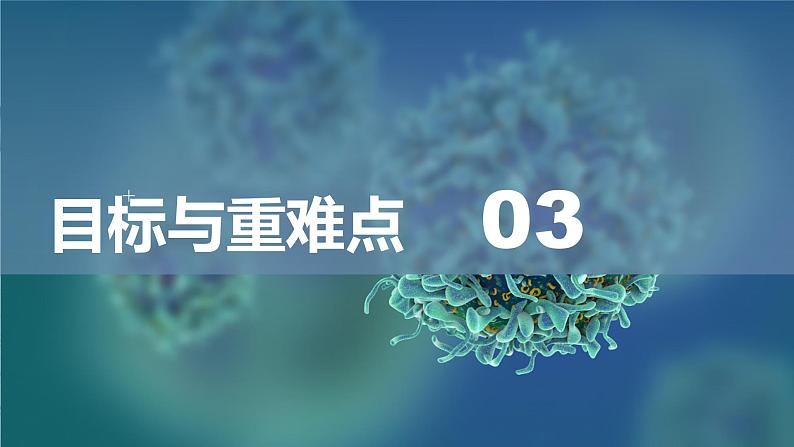 2.3物质的量说课课件 2024-2025学年高一上学期化学人教版（2019）必修第一册第8页