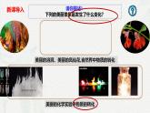 第一章 第一节 第3课时 物质的转化（课件）-2024-2025学年高一化学同步课堂（人教版2019必修第一册）