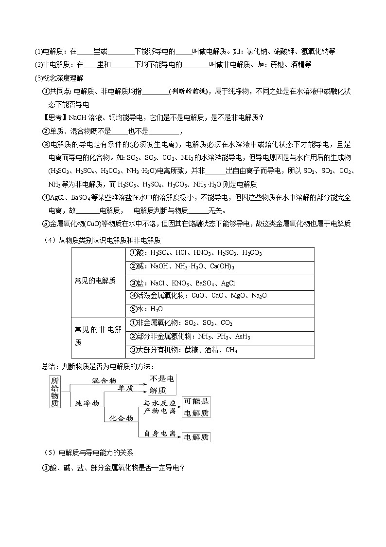 1.2.1 电解质的电离（讲义）（原卷版）第2页