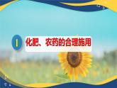 8.2.1化学品的合理使用（课件）-高一化学同步教学（人教版2019必修第二册）