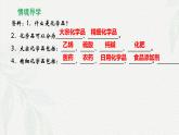 8.2化学品的合理使用  课件  高一下学期化学人教版（2019）必修第二册