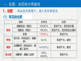 8.2化学品的合理使用  课件 高一下学期化学人教版（2019）必修第二册