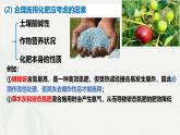 8.2化学品的合理使用  课件 高一下学期化学人教版（2019）必修第二册