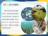 8.3 环境保护与绿色化学  课件 高一下学期化学人教版（2019）必修第二册