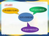 第八章第二节《化学品的合理使用》课件-高一化学人教版2019必修第二册