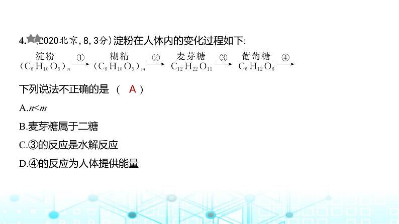 新高考化学复习专题一0五生命活动的物质基础有机合成练习课件第5页