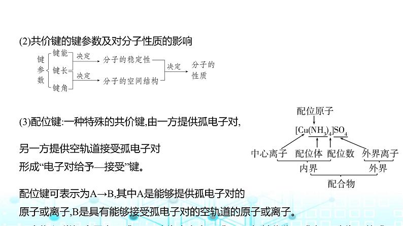 新高考化学复习专题八化学键分子和晶体的结构与性质教学课件第4页