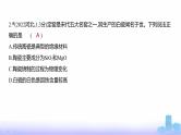 浙江版高考化学复习专题六非金属及其化合物练习课件