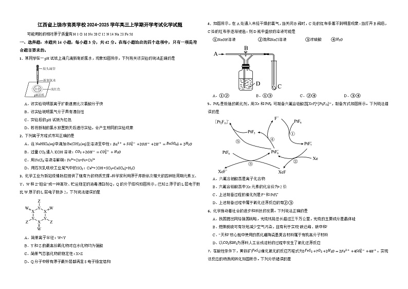 江西省上饶市育英学校2024-2025学年高三上学期开学考试 化学试题01