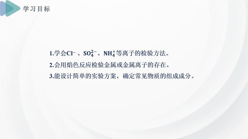 2.1 课时2 物质的检验 物质性质和变化的探究  课件 2024-2025学年高一化学苏教版（2019）必修第一册第2页