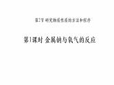 2024-2025学年鲁科版新教材必修第一册 第1章第2节 研究物质性质的方法和程序（第2课时） 课件 (2)