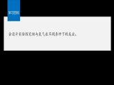 2024-2025学年鲁科版新教材必修第一册 第1章第2节 研究物质性质的方法和程序（第2课时） 课件