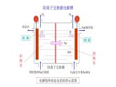 2024-2025学年苏教版新教材选择性必修一 专题1第二单元 化学能与电能的转化（第4课时） 课件