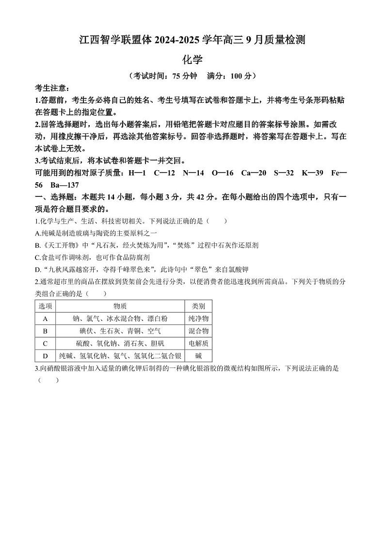 2025届江西智学联盟体高三上学期9月质检化学试卷+答案第1页
