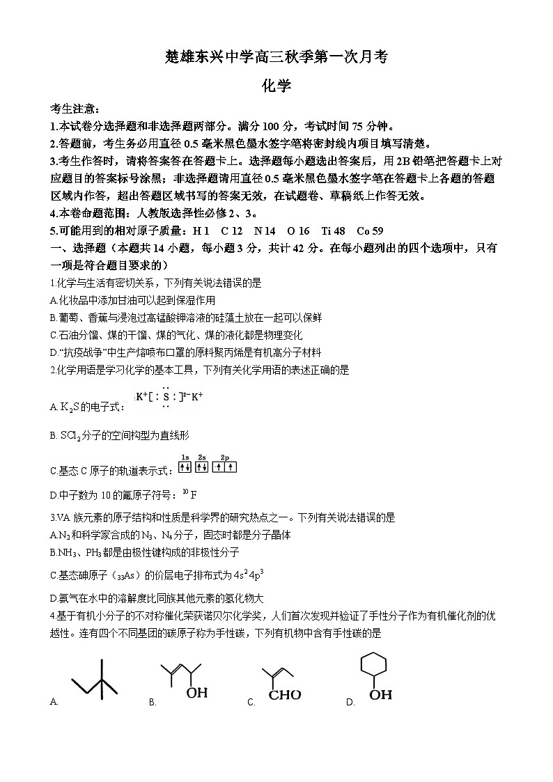 云南省楚雄东兴中学2024-2025学年高三上学期9月月考化学试题01