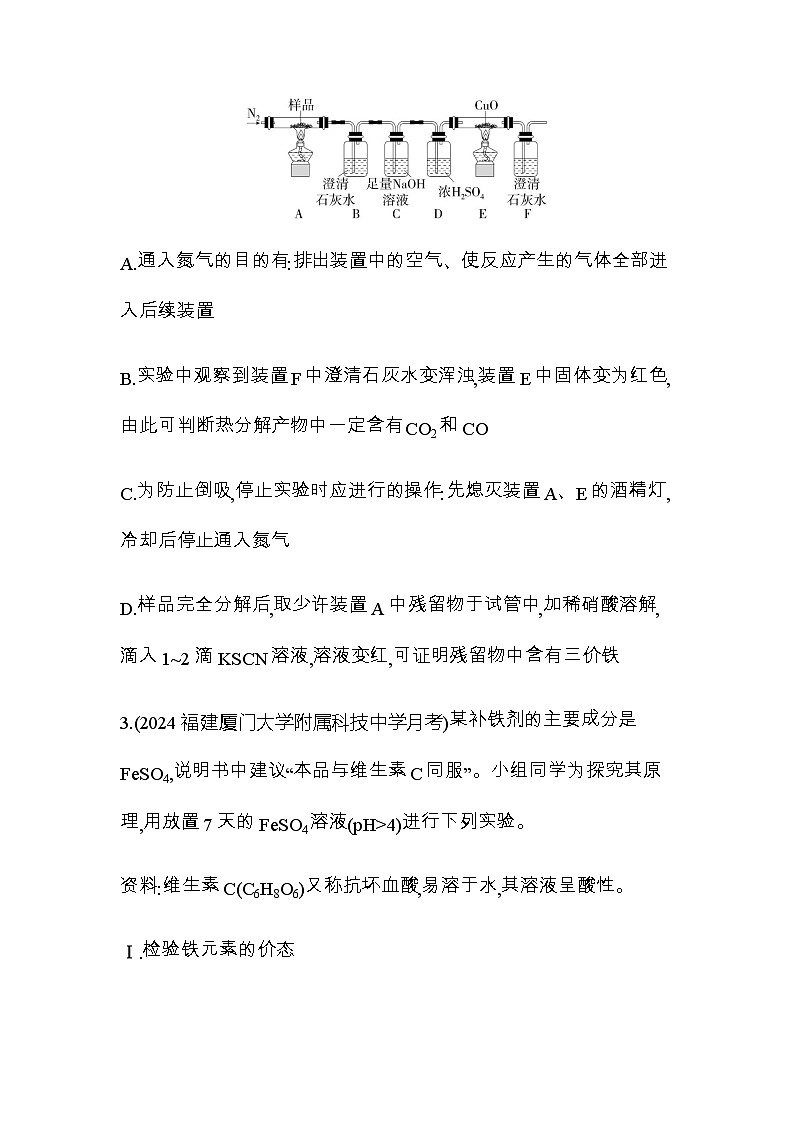 鲁科版高中化学必修第一册专题强化练4铁及其化合物性质的实验探究含答案第2页