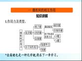 人教版高中化学选择性必修二微专题1基于元素“位”“构”“性”之间的关系的元素推断课件1