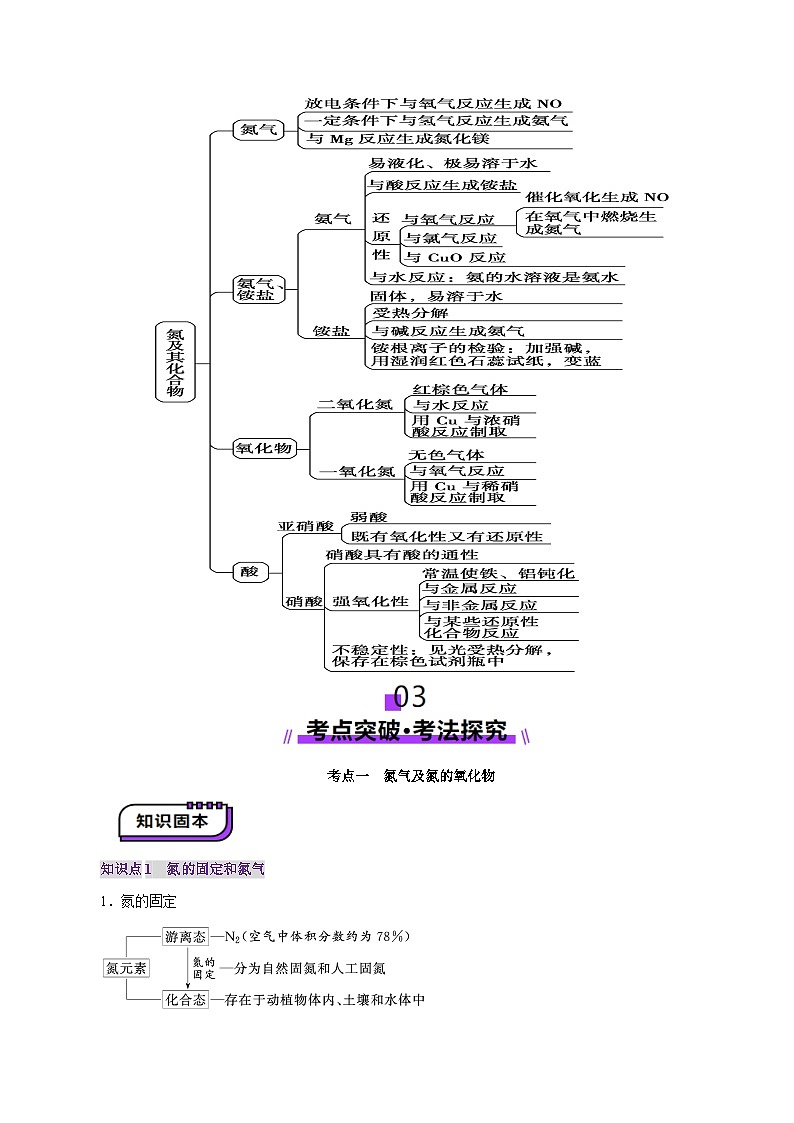 第03讲 氮及其重要化合物（讲义）（含答案） 2025年高考化学一轮复习讲练测（新教材新高考）03