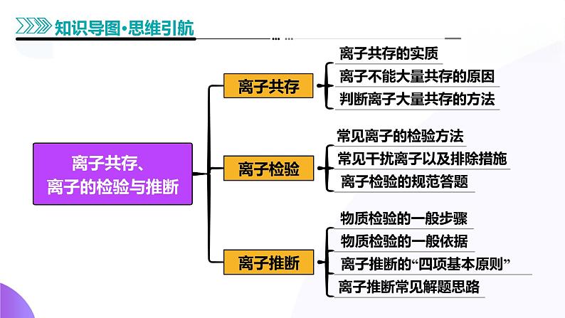 第03讲 离子共存、离子的检验与推断（课件）-2025年高考化学一轮复习讲练测（新教材新高考）06