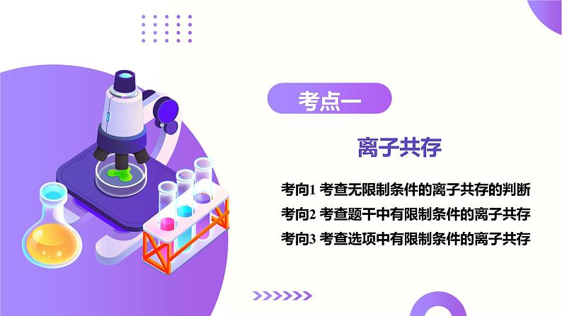 第03讲 离子共存、离子的检验与推断（课件）-2025年高考化学一轮复习讲练测（新教材新高考）08