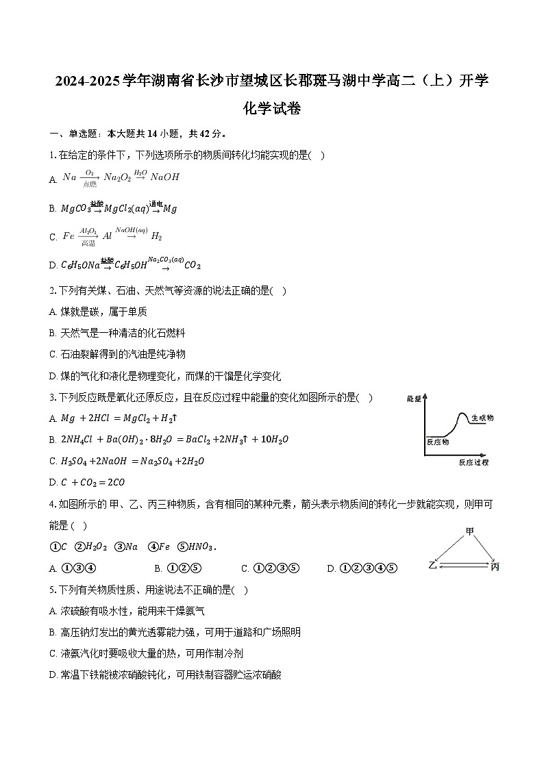 2024-2025学年湖南省长沙市望城区长郡斑马湖中学高二（上）开学化学试卷（含答案）第1页