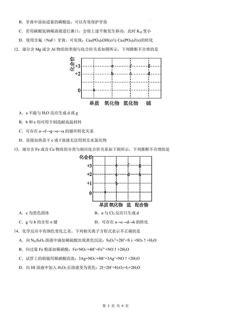 2025届东莞外国语学校高三上学期第一次月考化学试题（含答案）第3页