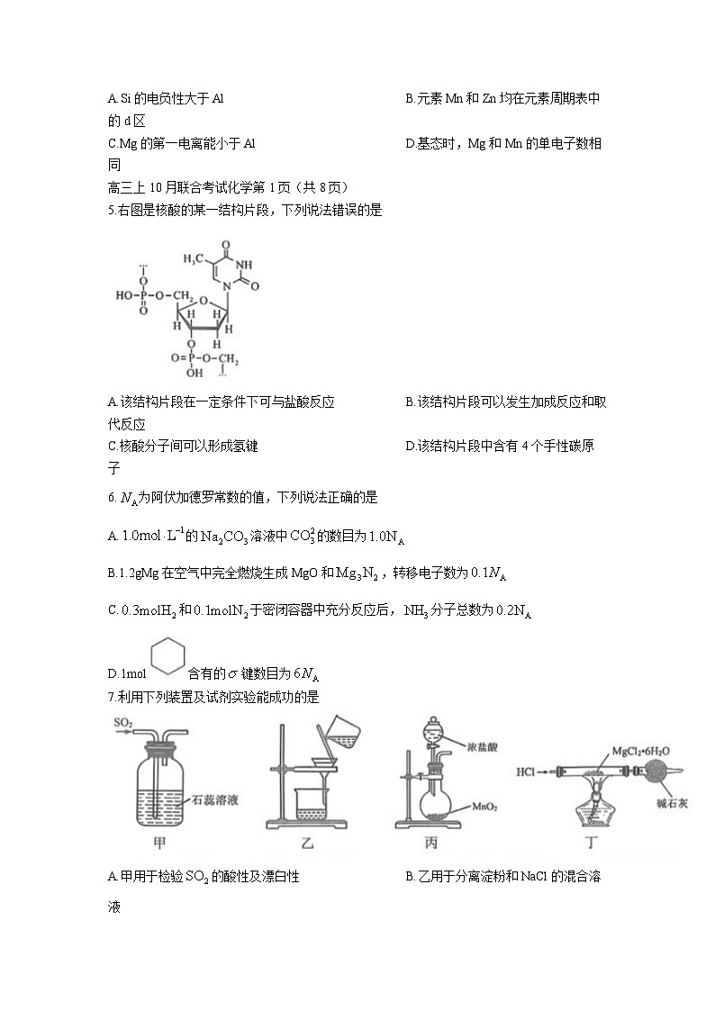 重庆拔尖强基联盟高2025届高三10月联合考试化学试卷（含答案）第2页