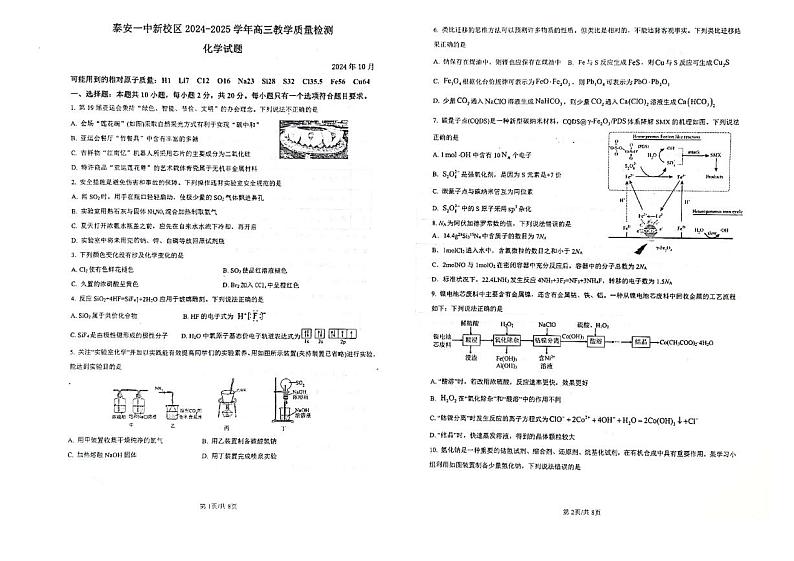 山东省泰安第一中学2024-2025学年高三上学期10月月考化学试题01